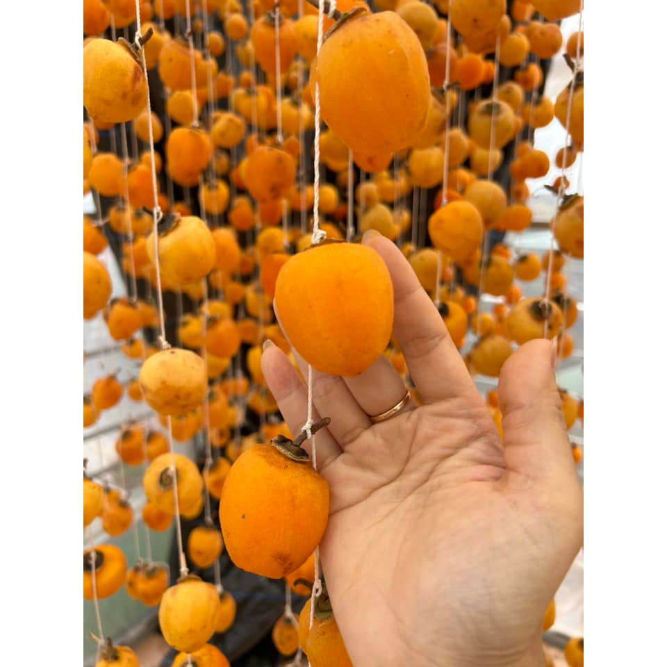 Hồng Treo Gió Xịn Đà Lạt