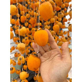 Hồng Treo Gió Xịn Đà Lạt