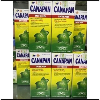 Siro Canapan chai 125ml với hàm lượng Cao lá thường xuân và Xuyên tâm liên cao giúp giảm ho bổ phế bổ phổi