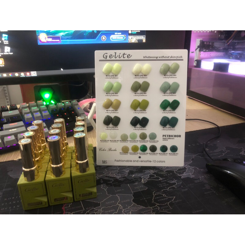 Set sơn 12m hãng GELITE tặng kèm bảng màu