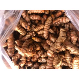 2 ký củ nghệ tươi già làm giống mua 5 tặng 0,5kg