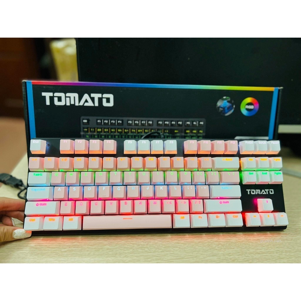 Bàn phím cơ Tomato S87 Blue/Red/Brown tặng 102 keycap  - TTG Shop