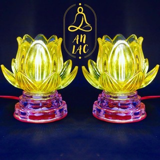 Cặp Đèn Bông Thủy Tinh 445 CD 12cm