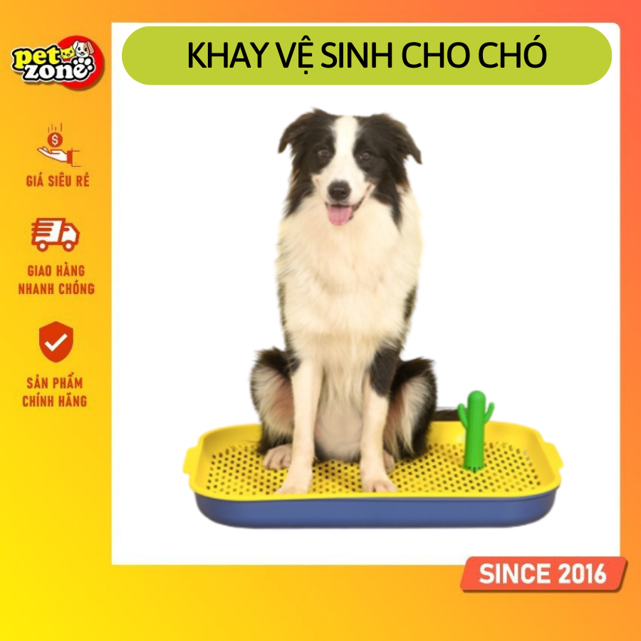 Khay vệ sinh cho chó - Khay huấn luyện cho chó đi vệ sinh đúng nơi - Nhiều size
