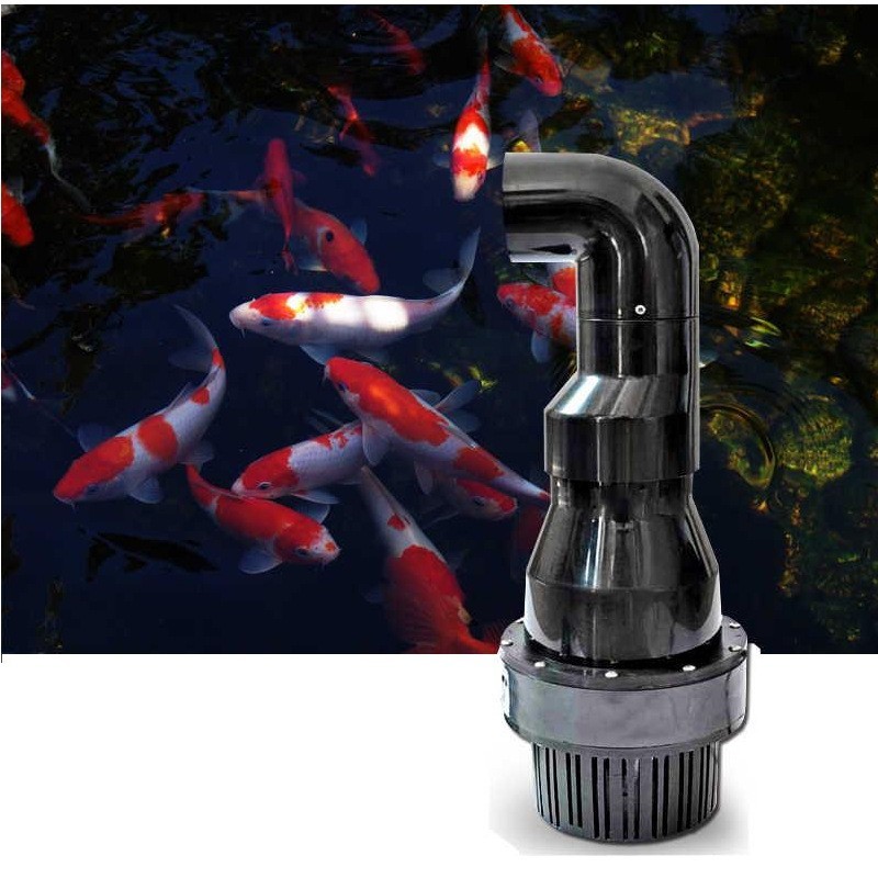 Bơm tạt , bơm thổi luồng bể cá Koi- 220v