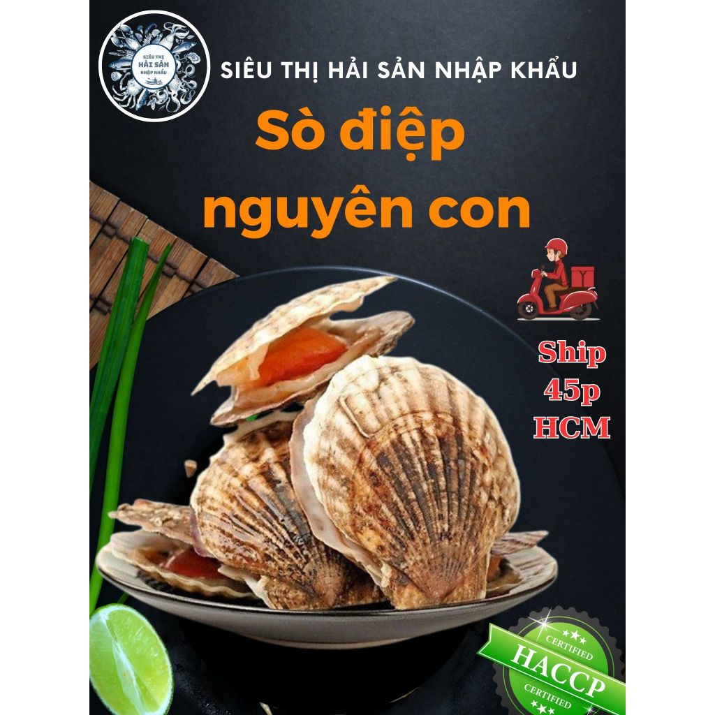 HỎA TỐC- SÒ ĐIỆP NHẬT NGUYÊN CON 1KG/ ĐỦ SIZE