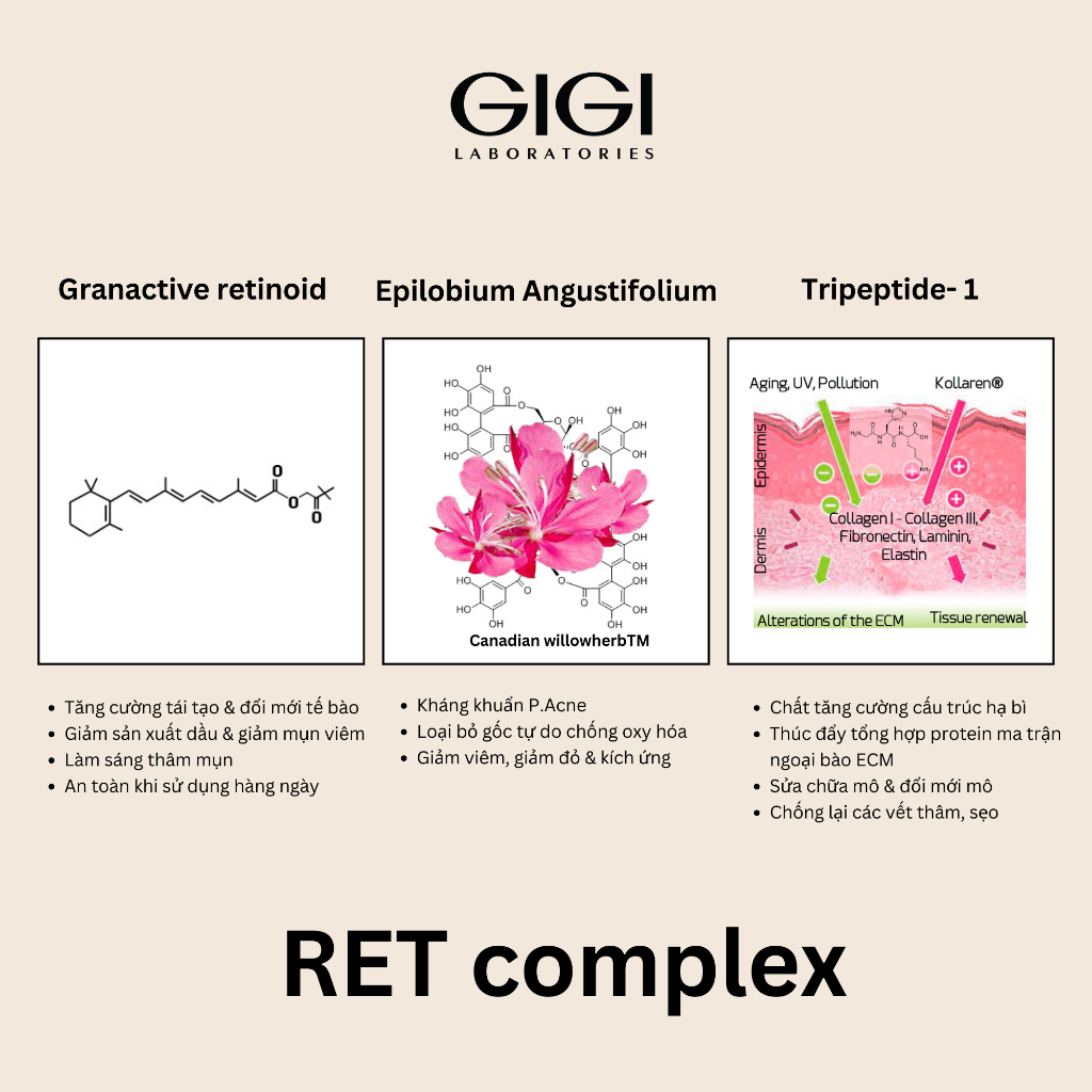 Kem dưỡng ban đêm dành cho da dầu mụn GIGI ACNON OVERNIGHT TREATMENT 50ml