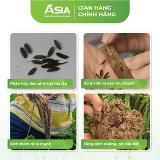 KING Xử lý lúa lộn, lúa ma, lúa 2 tầng (SP0087) Chế phẩm sinh học ASIA 410g