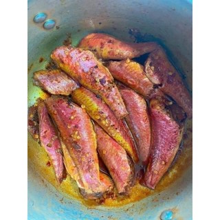 HỎA TỐC 1KI CÁ PHÈN HỒNG 1 NẮNG 🐠🐠
