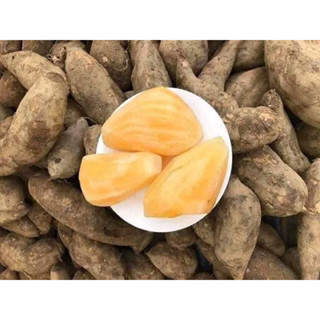 Củ Khoai Sâm Đất Củ To Ăn ngọt ròn ngon 1KG