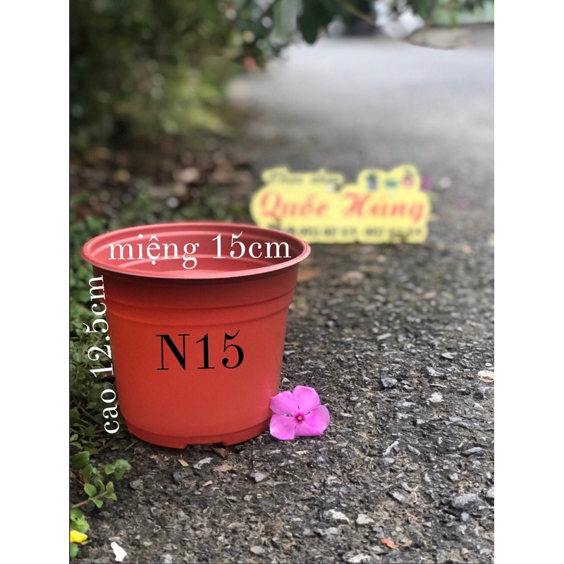 Chậu nhựa Nâu (N15) trồng sen đá,xương rồng