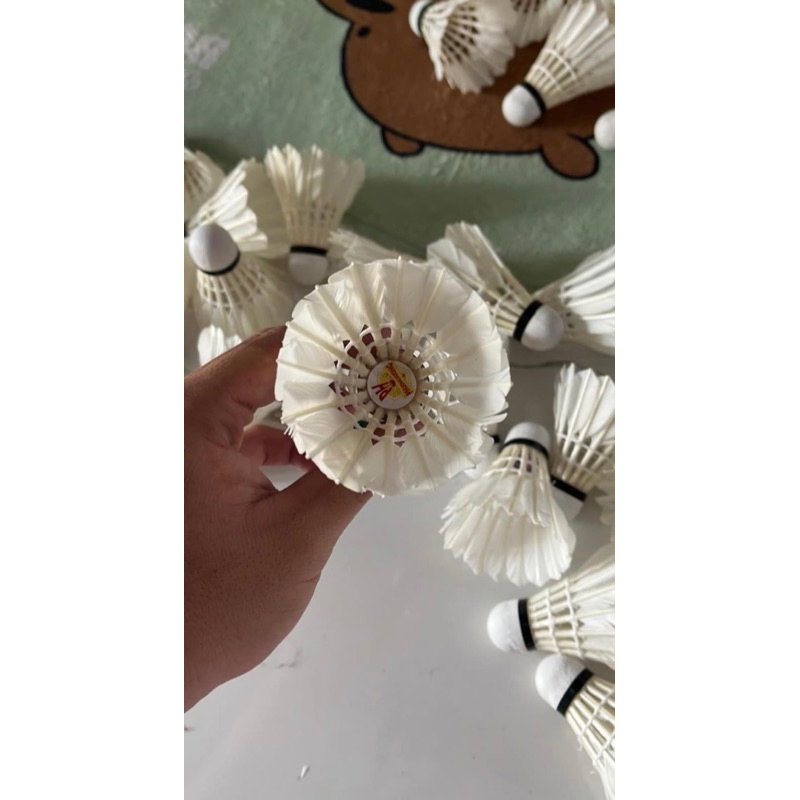 Cầu cũ 90-95% | 12 trái / 1 ống