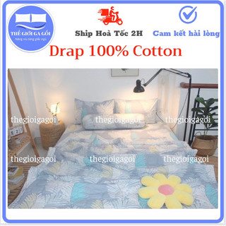Bộ Drap, Ga trải giường 100% Cotton ( đủ kích thước)