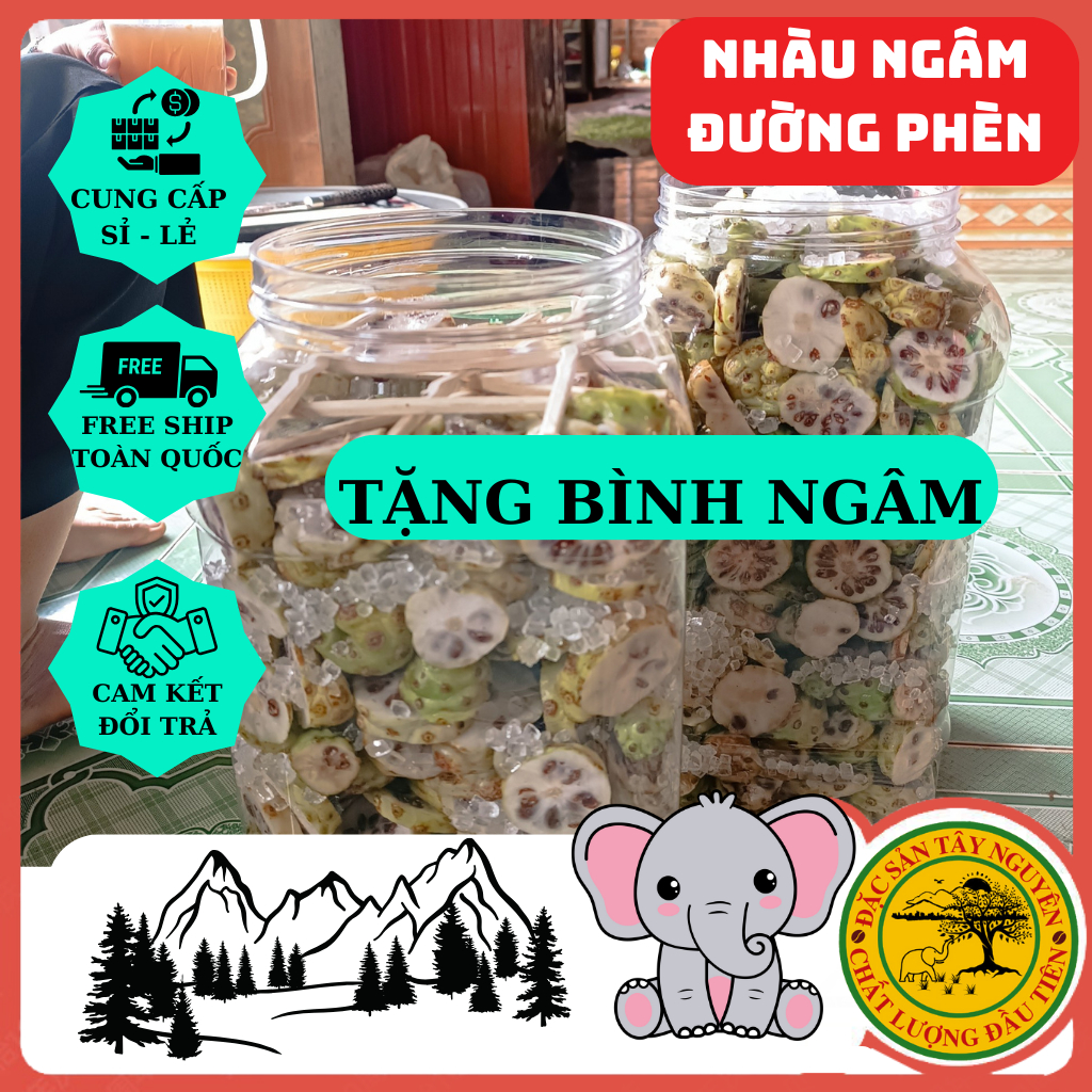 Trái Nhàu Tươi Ngâm Đường Phèn.Tặng Bình Ngâm. Nhắn tin cho shop trước khi đặt nhé.
