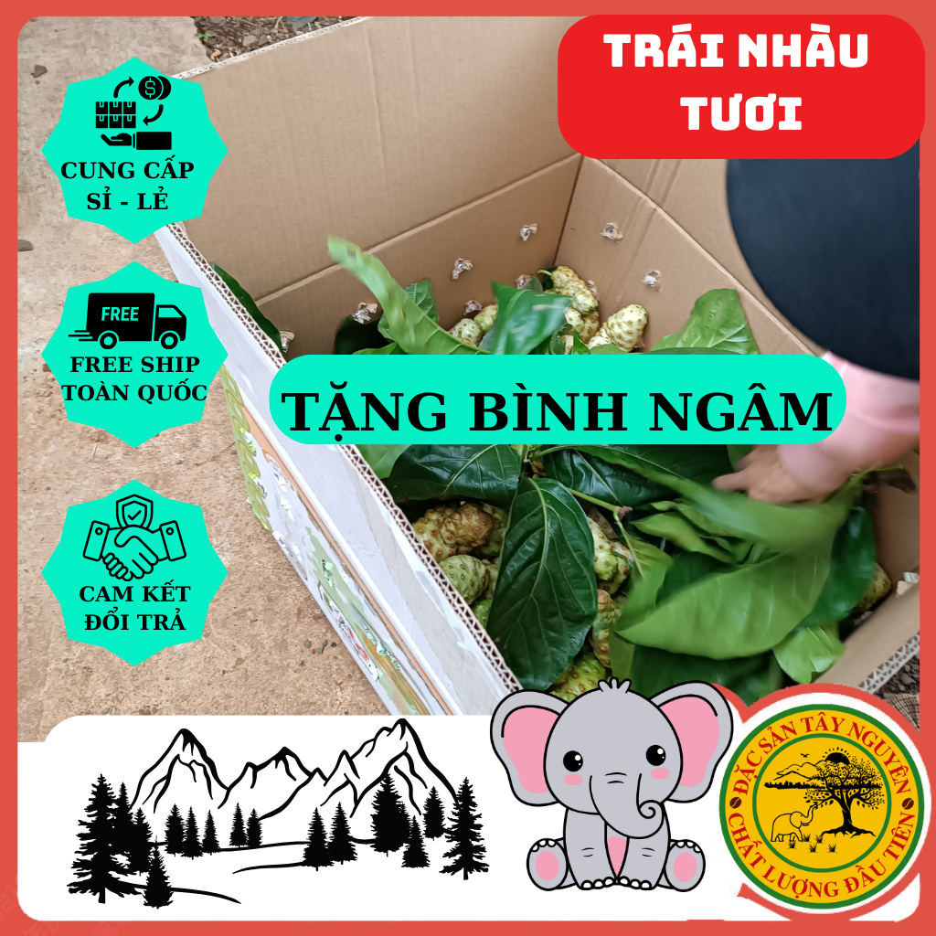 Trái Nhàu Tươi Ngâm Đường Phèn.Tặng Bình Ngâm. Nhắn tin cho shop trước khi đặt nhé.