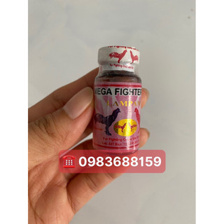 Mega fighter 007 lampam nuôi gà trước đá 3 ngày, tăng bo, sung khoẻ