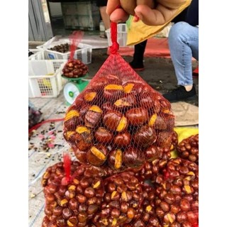 Hạt Dẻ Trùng Khánh Cao Bằng
