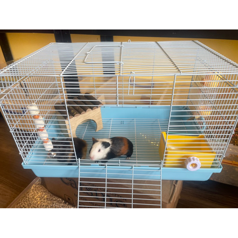 Lồng Cho Bọ ú,thỏ 47x30x30 full bộ kèm lưới đáy tách phân .