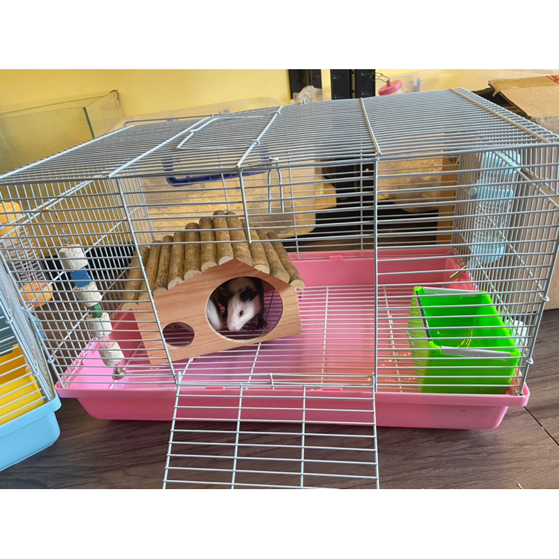 Lồng Cho Bọ ú,thỏ 47x30x30 full bộ kèm lưới đáy tách phân .