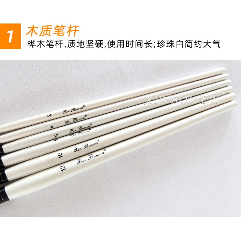 Bộ cọ màu trắng oval dùng để vẽ sơn dầu