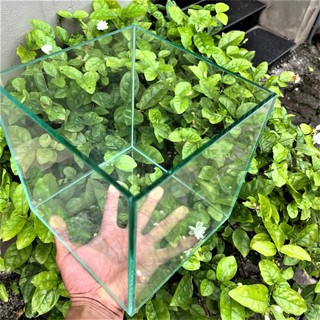 Hồ cá, bể cá cảnh thủy sinh cubic để bàn, bể cá cảnh mini để bàn Mài Vi Tính