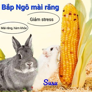 Bắp ngọt Mini dùng cho Thỏ, Hams, Bọ Ú và Chim