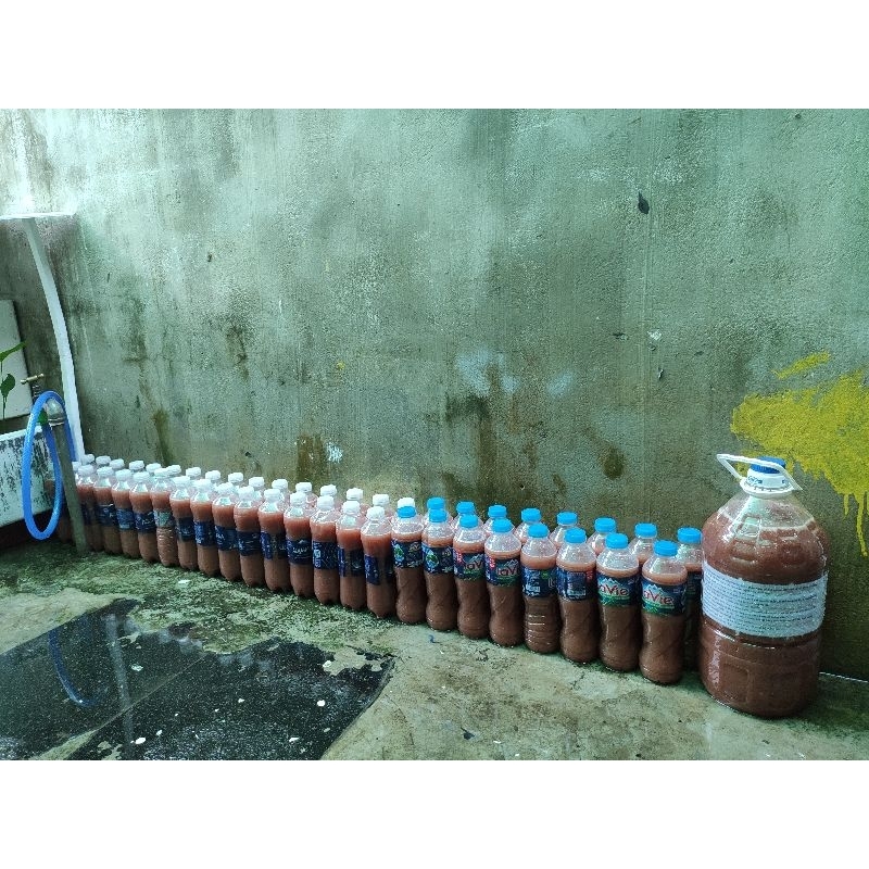 Vi Sinh Quang Hợp PSB, Hồ Koi, Hồ kính 500ml