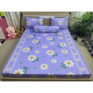 Drap thun hàn quốc bộ 1m6 x 2m sale giá rẻ