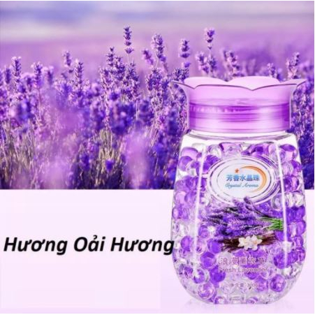 Hộp Sáp thơm phòng HẠT TRONG SUỐT hương hoa, Shap khử mùi nhà vệ sinh, phòng ngủ, ô tô