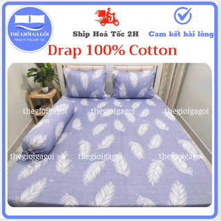 Bộ Drap cotton 100% , ga trải giường cao cấp mẫu Lông Vũ