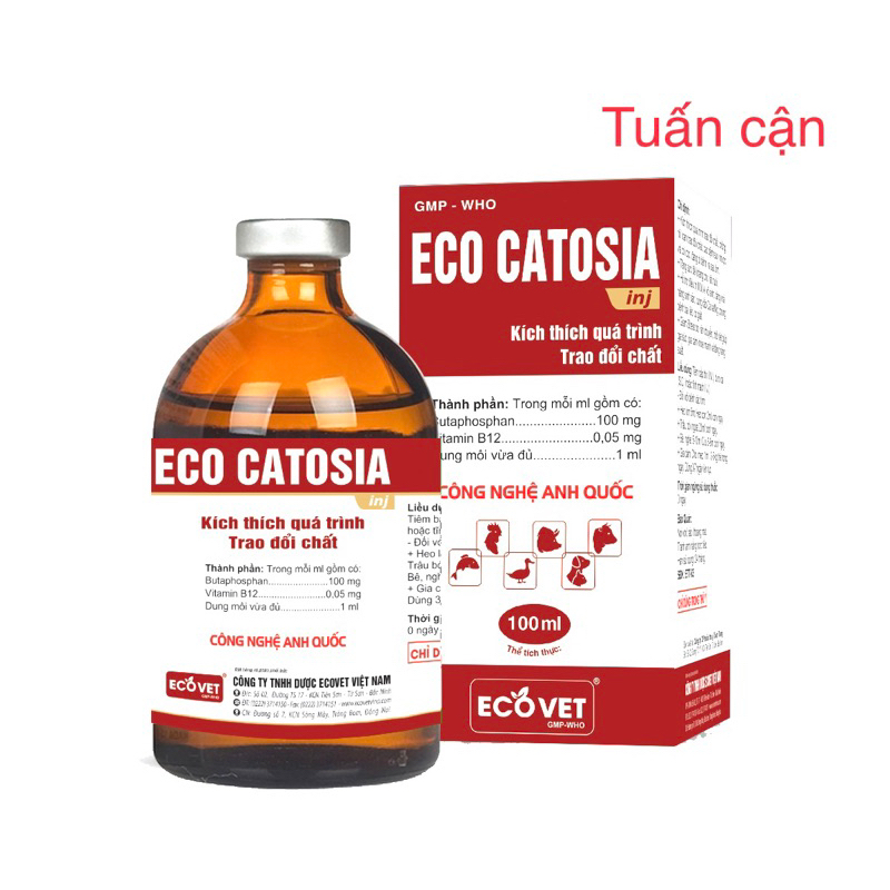 Eco Catosia(20ml) Tang-bo, cung-gân cốt, hoi-sức, phục-hồi sau đá