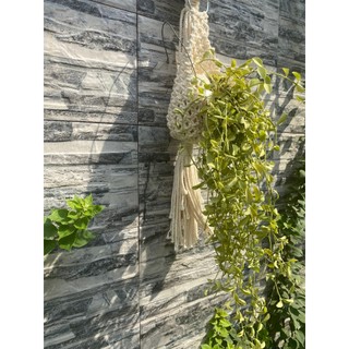 Treo cây trang trí hình cú thông thái macrame