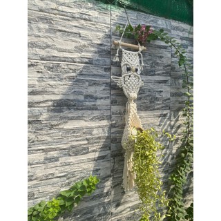 Treo cây trang trí hình cú thông thái macrame