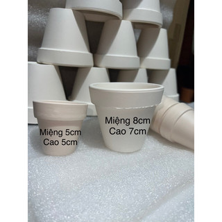 Chậu đất nung trắng 5x5cm và 8x7cm - Chậu đất nung trắng 8cm