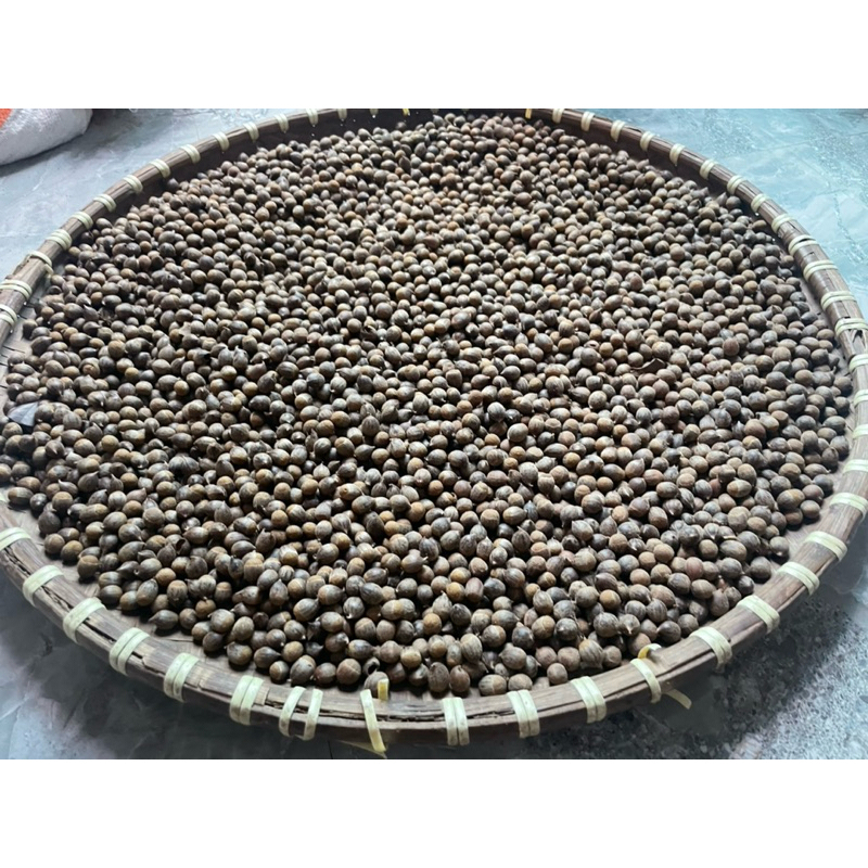 1kg hạt 🌰 dẻ rừng ,Hạt dẻ thóc Hải Dương