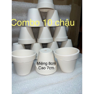 Combo 10 chậu đất nung trắng 8x7cm - 10 chậu đất nung trắng miệng 8cm