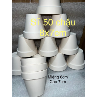 Sĩ 50 chậu đất nung trắng 8x7cm - chậu đất nung trắng miệng 8cm