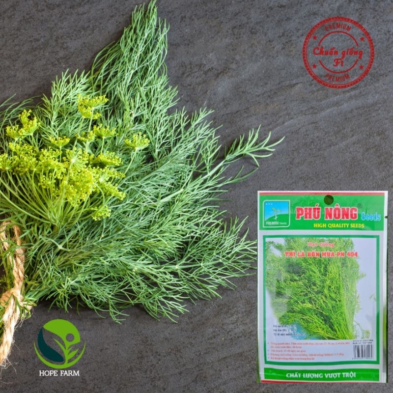 Hạt Giống Rau Thì Là - Gói 5g - Aromatic Leaf Fennel