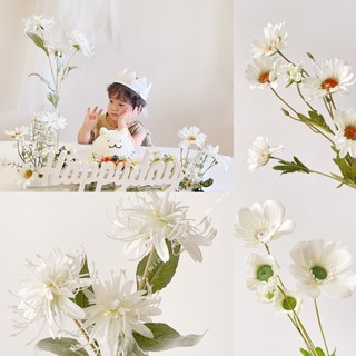 Hoa decor l.min