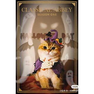 Combo 2 Mũ phù thuỷ và yếm bá tước ma cà rồng/ Dracula móc len handmade cho mèo CHILLMEOW