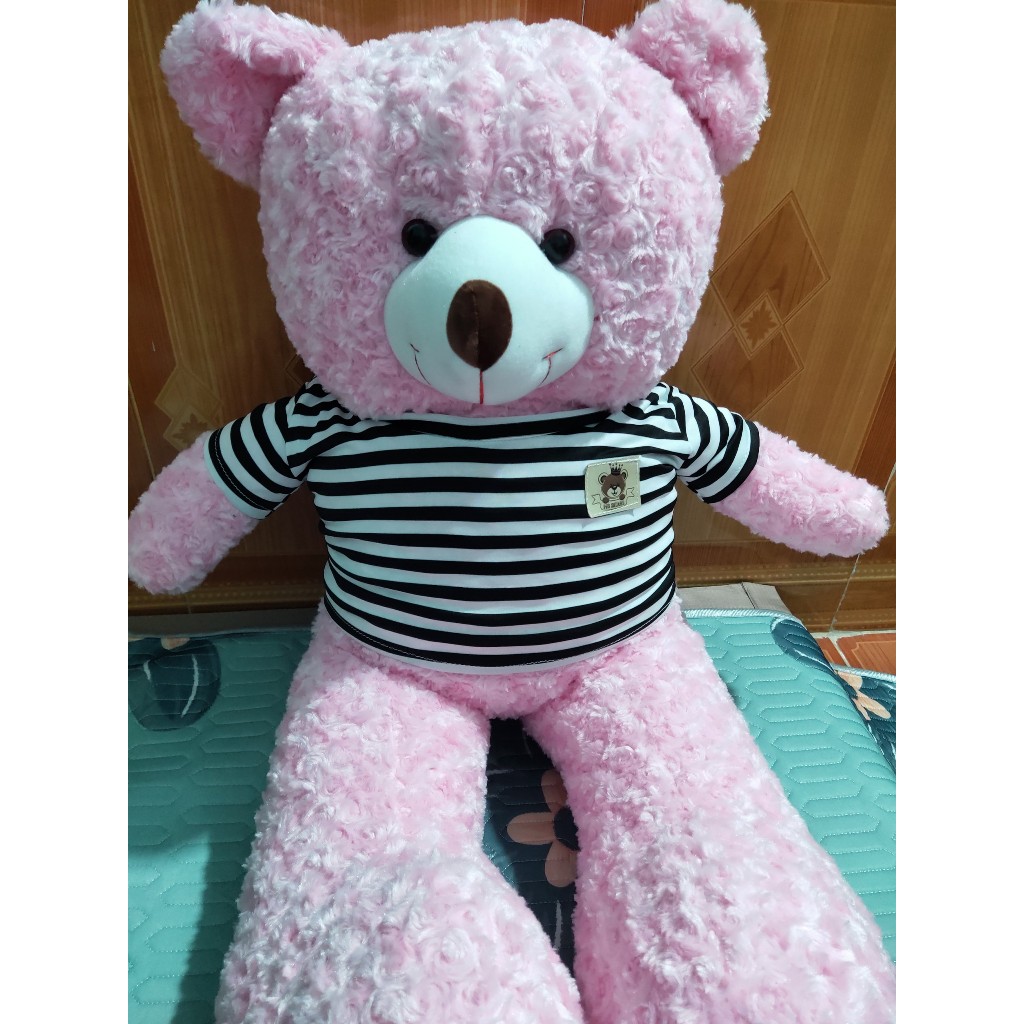 Thú gấu nhồi bông, gối ôm Teddy to bự đủ kích thước 80cm, 1m, 1m2 làm quà tặng siêu dễ thương - SANBEO.VN