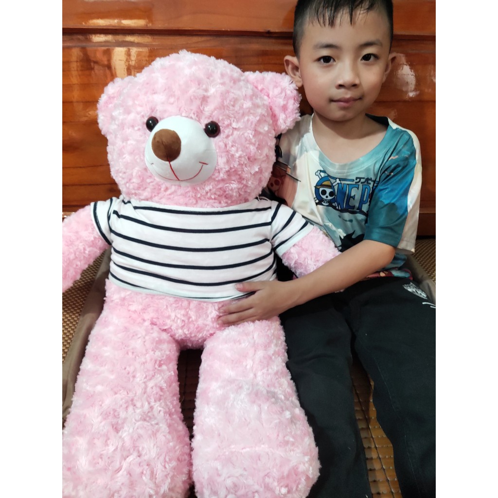 Thú gấu nhồi bông, gối ôm Teddy to bự đủ kích thước 80cm, 1m, 1m2 làm quà tặng siêu dễ thương - SANBEO.VN