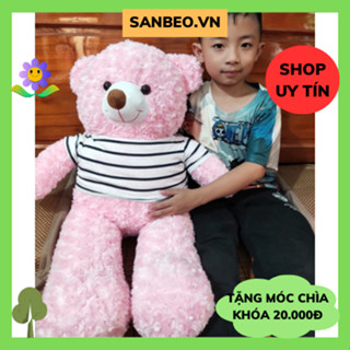 Thú gấu nhồi bông, gối ôm Teddy to bự đủ kích thước 80cm, 1m, 1m2 làm quà tặng siêu dễ thương - SANBEO.VN