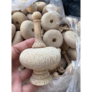 Nậm tre già lồng vuông chim hút mật, ốc mít