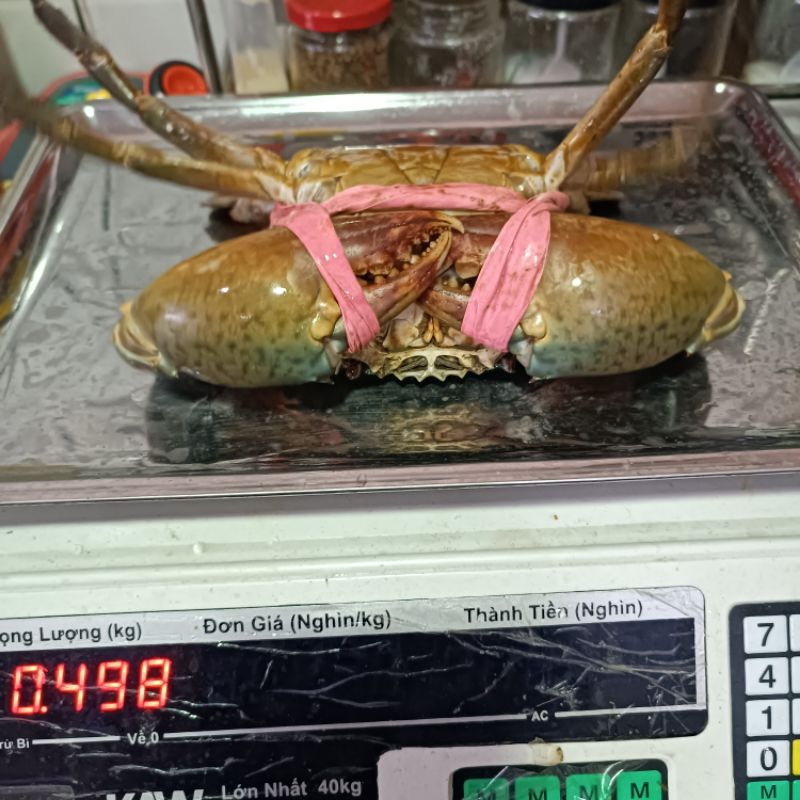 CUA BIỂN CON 450G