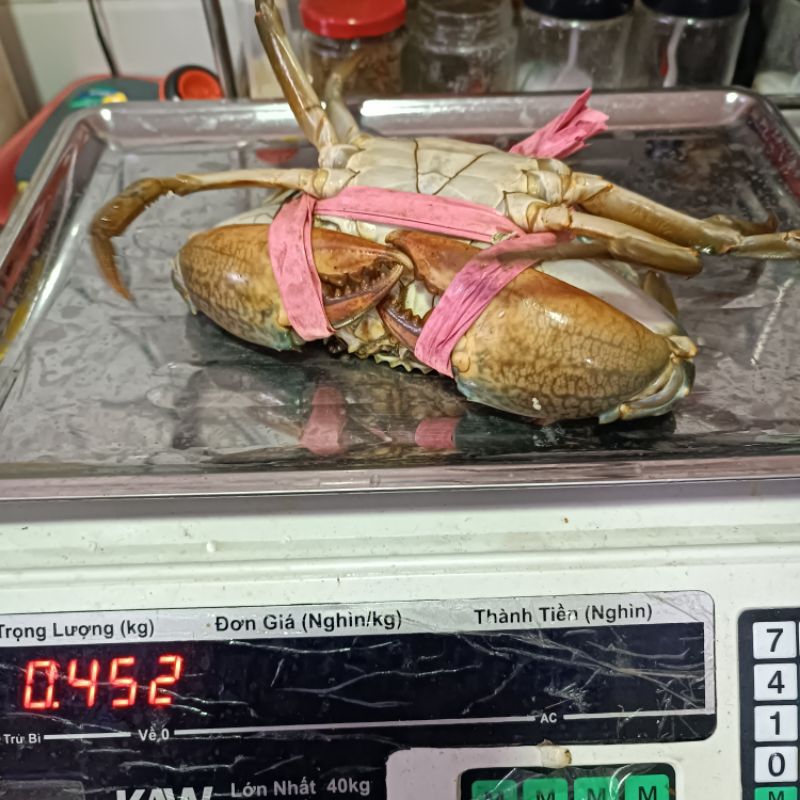 CUA BIỂN CON 450G
