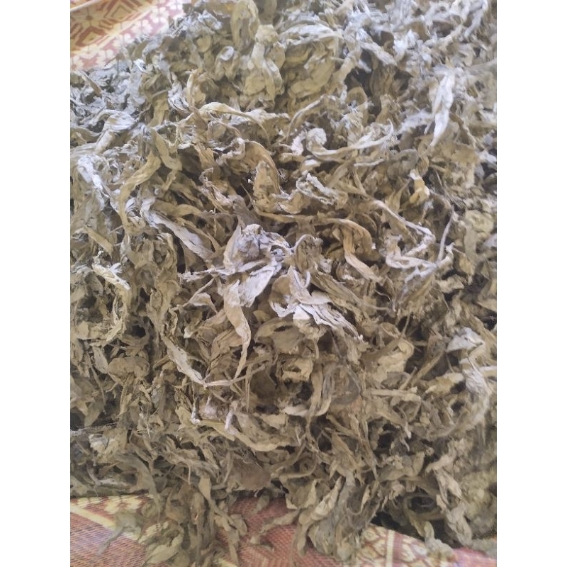 Lá khôi nhung tía