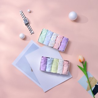 Quần lót học sinh bé gái cotton có size lớn CoandCom NO158-2