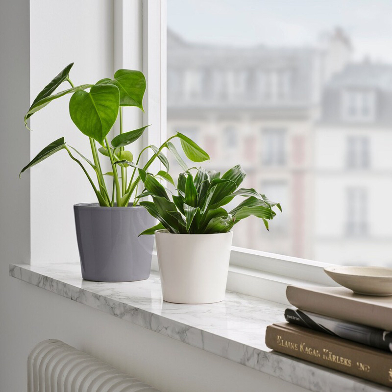 Chậu cây 9cm SOJABÖNA IKEA chính hãng