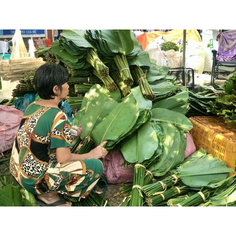 Dây lạt buộc gói bánh chưng, bánh tét, gói giò,ngày Tết cổ truyền dân tộc